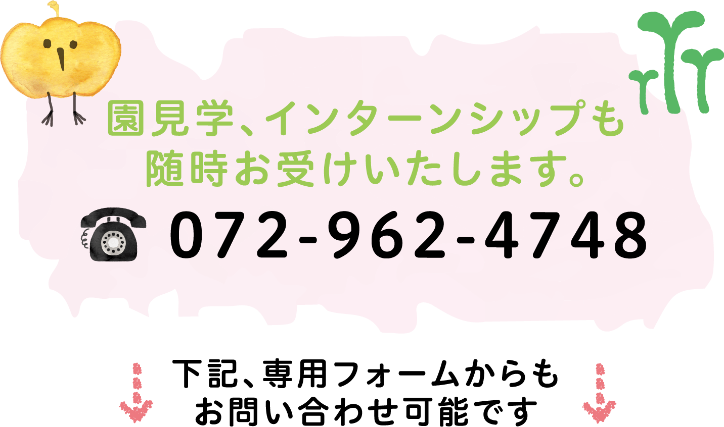 園見学、インターンシップも随時お受けいたします。 0729624748